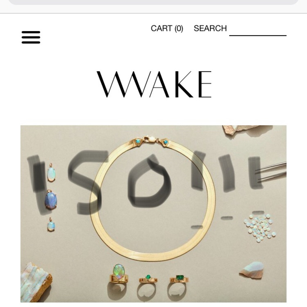 ISO wwake earrings! Pretty flexible on the style.